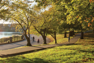 Baltimore Parks and Recreation: A Green Urban Oasis for All Ages