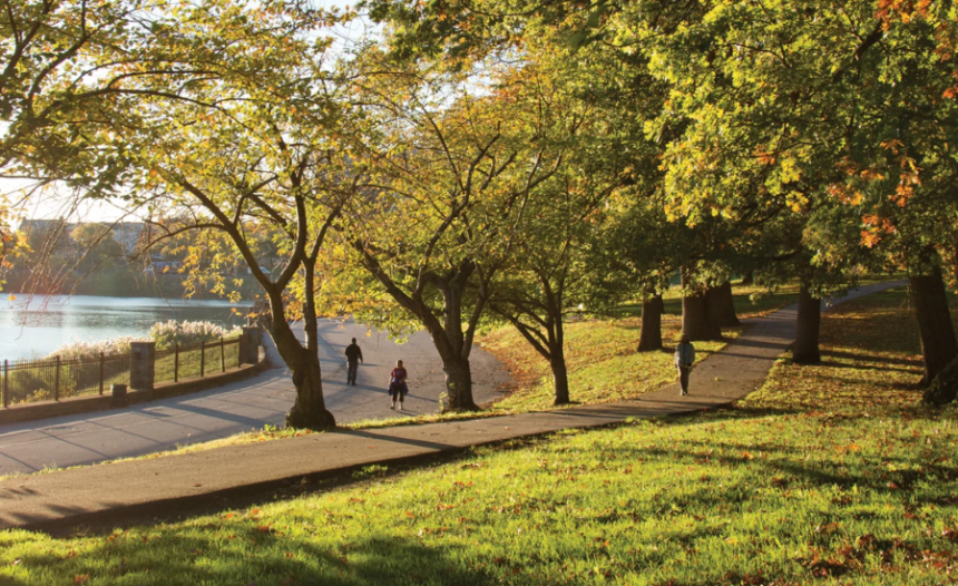 Baltimore Parks and Recreation: A Green Urban Oasis for All Ages