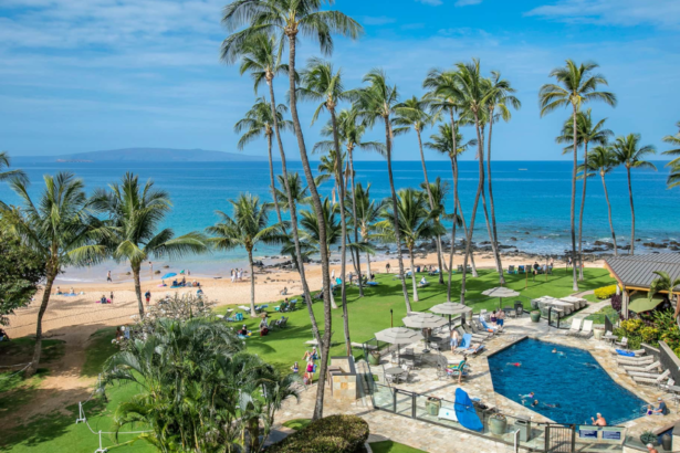 Exploring Waikiki Through Live Cams: A Virtual Window to Paradise